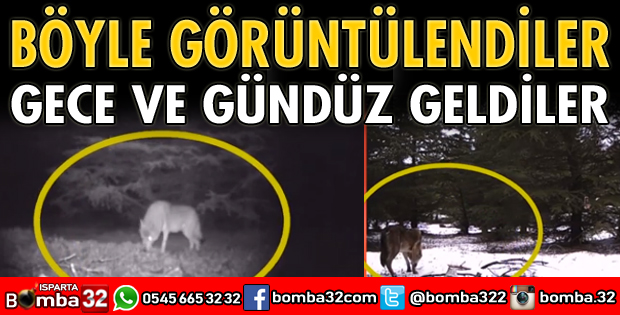 Böyle görüntülendiler