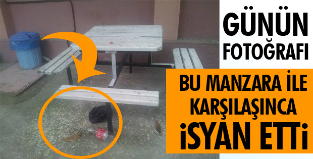 BÖYLE HAYVANLARLA NASIL UYGULANACAK