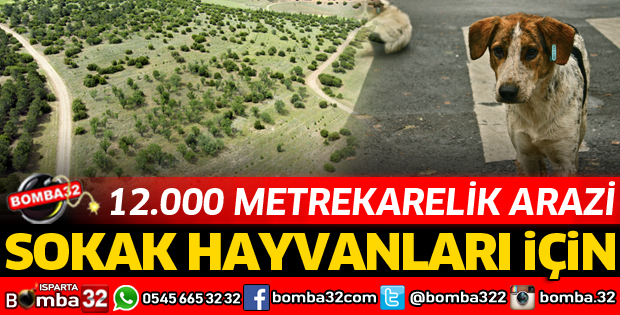 BU ARAZİ SOKAK HAYVANLARI İÇİN 