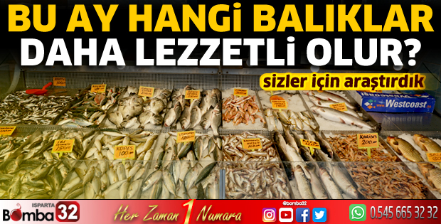 Bu ay hangi balıklar daha lezzetli olur?