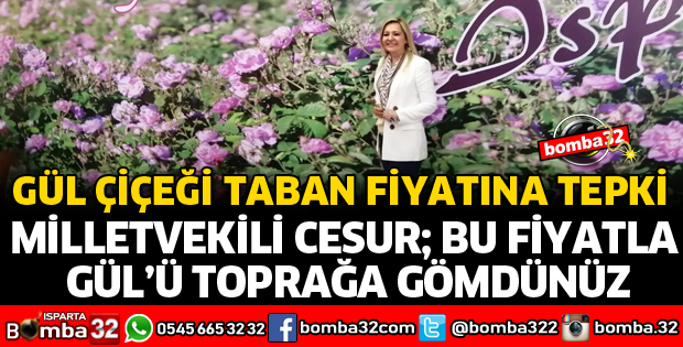 BU FİYATLARLA GÜLÜ TOPRAĞA GÖMDÜNÜZ