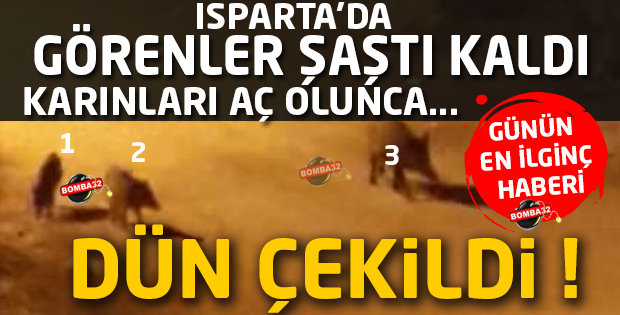 BU FOTOĞRAFLAR DÜN ÇEKİLDİ 