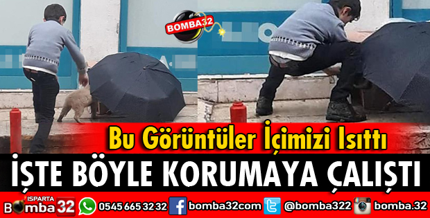 BU GÖRÜNTÜLER İÇİMİZİ ISITTI