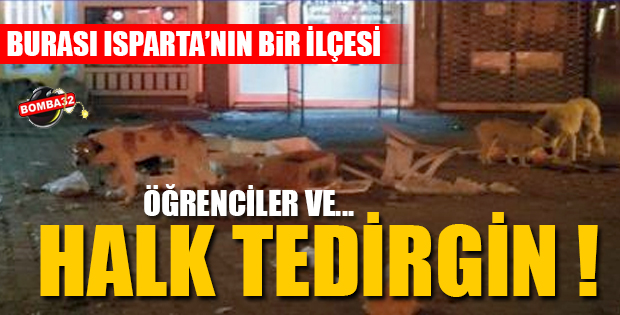 BU İLÇEDE ÖĞRENCİLER TEDİRĞİN !