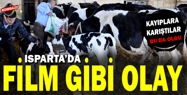 BU OLAY FİLM SAHNELERİNİ ARATMADI 