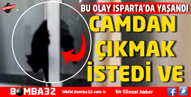 BU OLAY ISPARTA'DA YAŞANDI !