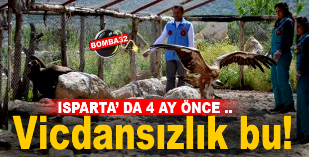 BU OLAY VİCDANSIZLIKTIR !