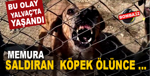 BU OLAY YALVAÇ TA  YAŞANDI !
