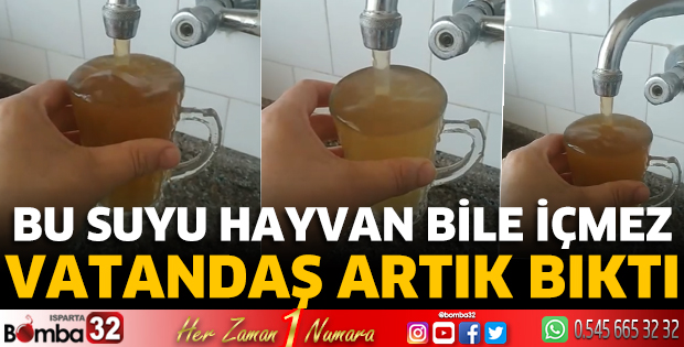 Bu suyu hayvan bile içmez 
