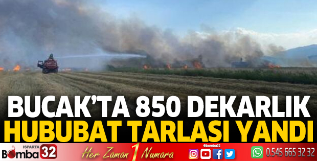 Bucak'ta 850 dekar hububat tarlası yandı