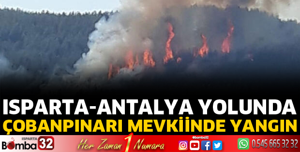 Bucak'ta orman yangını