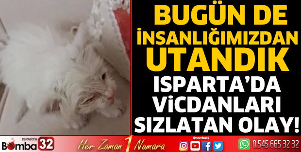 Bugün de insanlığımızdan utandık