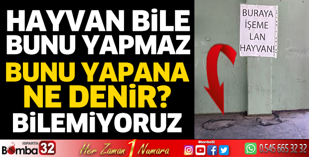 Bunu hayvan bile yapmaz