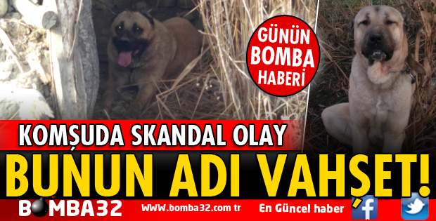 BUNUN ADI VAHŞET!