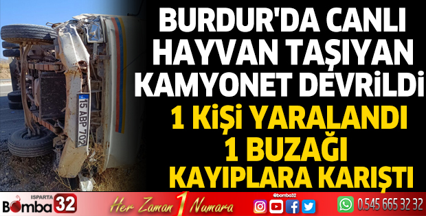 Burdur'da canlı hayvan taşıyan kamyonet devrildi