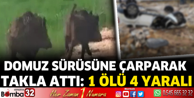 Burdur'da domuz sürüsüne çarparak takla attı : 1 ölü 4 yaralı