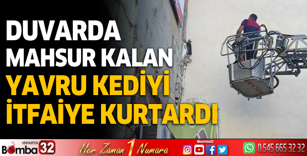 Burdur'da duvarda mahsur kalan yavru kediyi itfaiye kurtardı