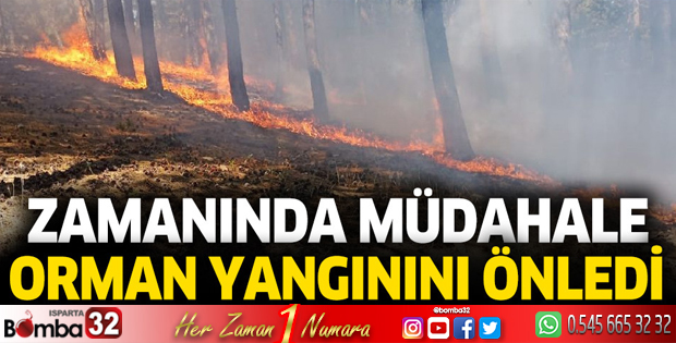 Burdur'da Eşeler yaylası alevlere teslim oldu
