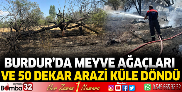 Burdur'da meyve ağaçları ve 50 dekar arazi küle döndü