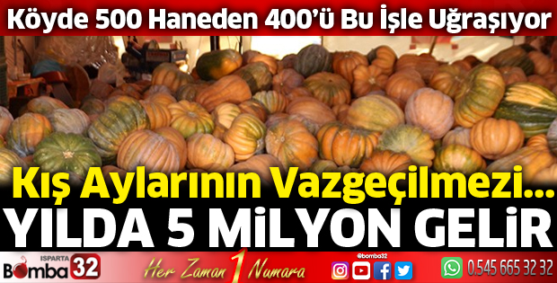 Büyükgökçeli'de bal kabağı üretimi