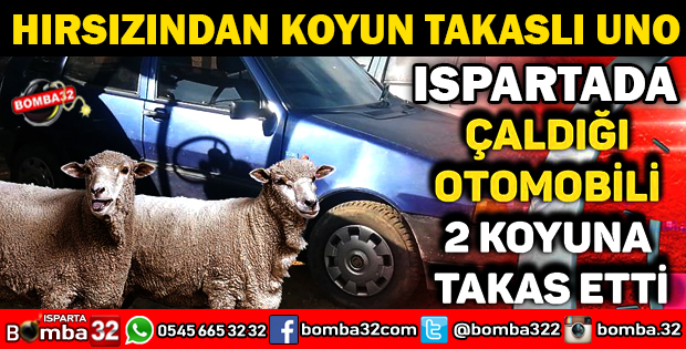 ÇALDIĞI OTOMOBİLİ 2 KOYUNA TAKAS ETTİ