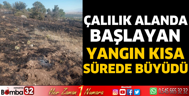 Çalılık alanda başlayan yangın kısa sürede büyüdü