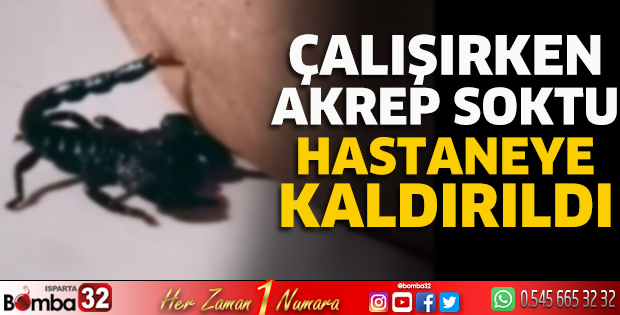 Çalışırken akrep soktu hastaneye kaldırıldı