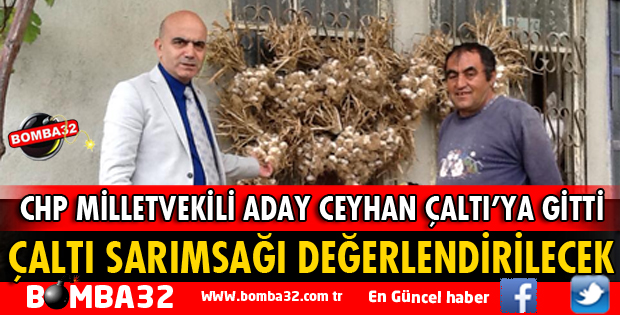 ÇALTI SARIMSAĞI DEĞERLENDİRİLECEK