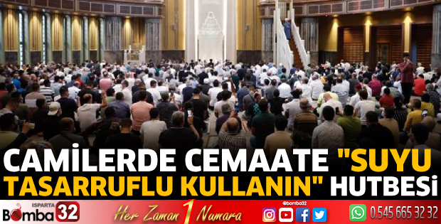 Camilerde 