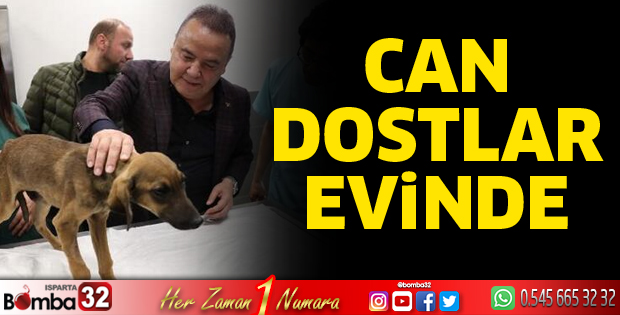 Can dostlar evinde
