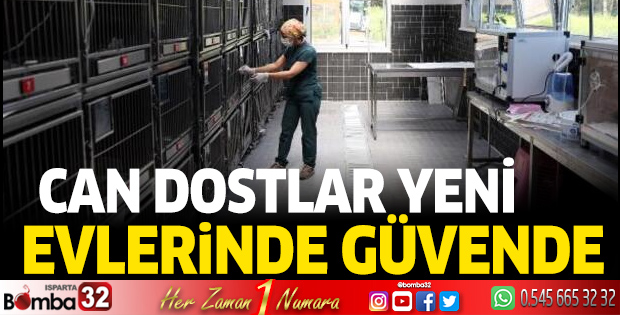 Can Dostlar Yeni Evlerinde