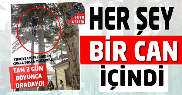 CAN ONLAR İÇİN DEĞERLİ
