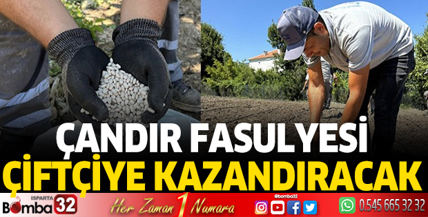 Çandır Fasulyesi çiftçiye kazandıracak