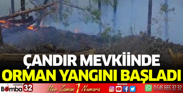 Çandır mevkiinde orman yangını başladı