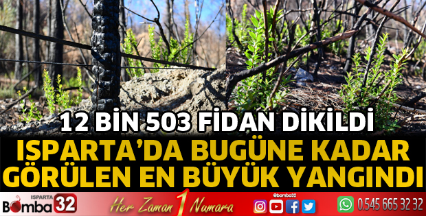 Çandır’da 12 Bin 503 Fidan Toprakla Buluştu