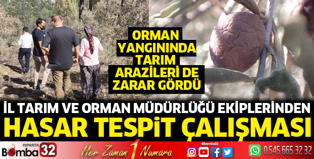 Çandır'da tarım arazilerinde hasar tespit çalışması