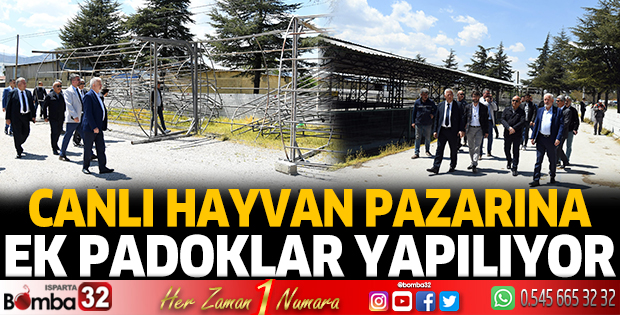 Canlı hayvan pazarına ek padoklar yapılıyor
