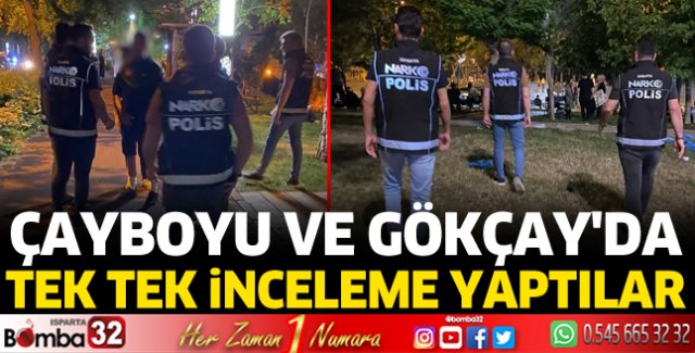 Çayboyu ve Gökçay'da tek tek denetim