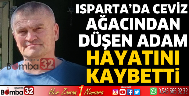 Ceviz ağacından düşen adam hayatını kaybetti
