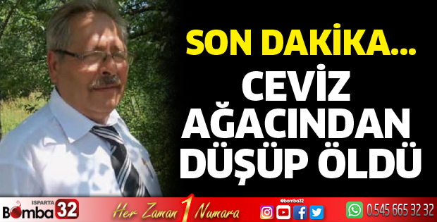 Ceviz ağacından düşüp öldü