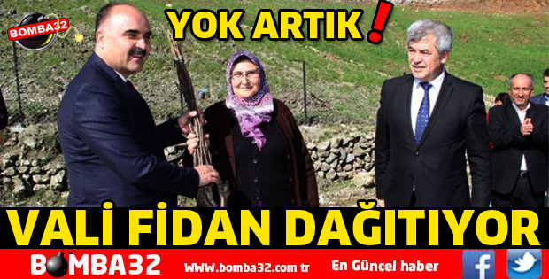 Ceviz Fidanı Dağıtımları Başladı