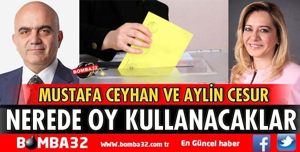 CEYHAN VE CESUR OYUNU NEREDE KULLANACAK