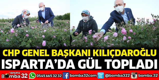 CHP Genel Başkanı Kılıçdaroğlu, işçilerle gül topladı