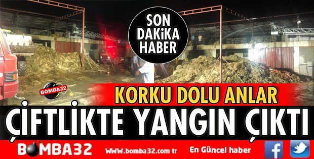 ÇİFTLİKTE YANGIN ÇIKTI