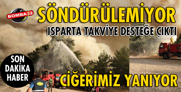 CİĞERİMİZ YANIYOR!