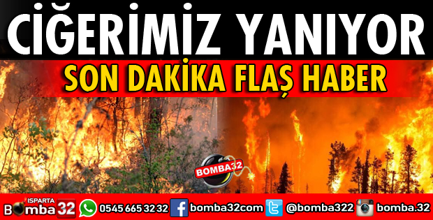 CİĞERİMİZ YANIYOR