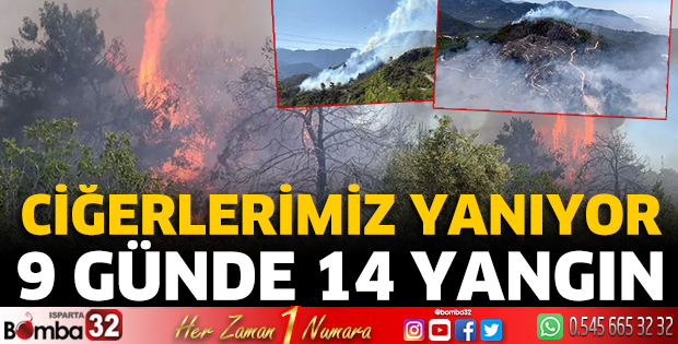 Ciğerlerimiz yanıyor