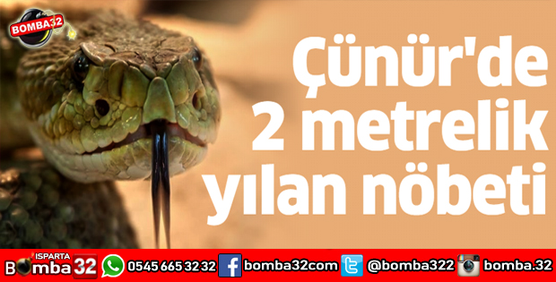 ÇÜNÜRDE 2 METRELİK YILAN NÖBETİ