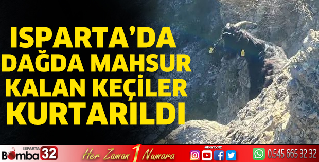 Dağda mahsur kalan keçiler kurtarıldı