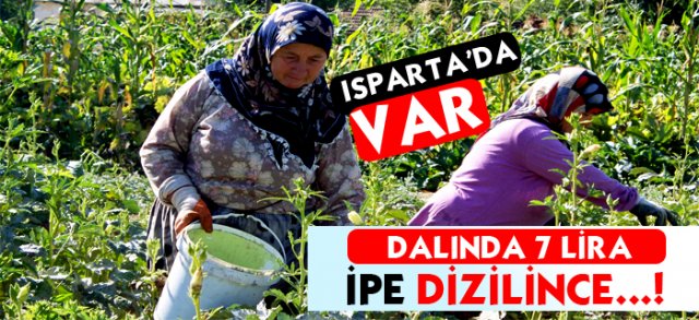 Dalında 7 Lira, İpe Dizilince Fiyatı Altınla Yarışıyor